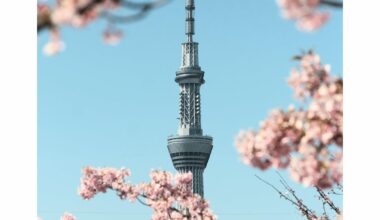 Nakagawa Kawazu Sakura and Skytree