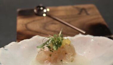 Robin SF 20 course omakase