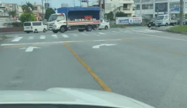 Man just walking his steer!