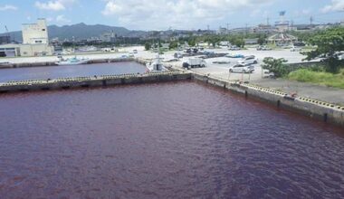 Brewery leak turns sea red in Japan