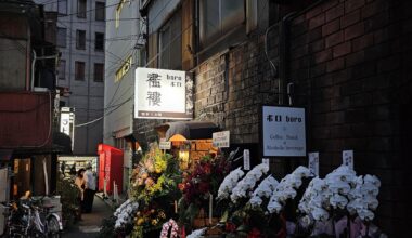 Grand Openings down a Jimbocho alleyway