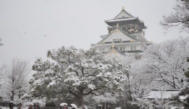 Osaka Castle in the snow, 2011