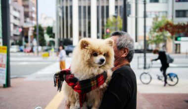 Man and his fluffy dog with scarf on a bike, Himeji