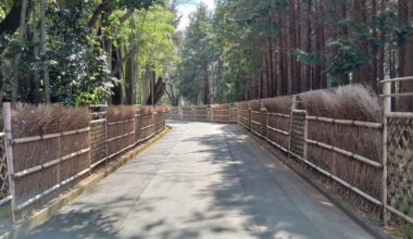 Rakusai bamboo forest. Same view as arashiyama but without the bloody tourists!