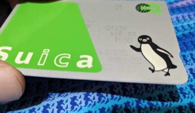 Weird numbers on Suica card