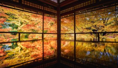 This website lets you track Kyoto’s autumn leaves in real time