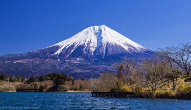 Discover Lake Tanuki: Nature's Playground at the Foot of Mt. Fuji