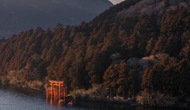 Mount Fuji from Hakone at Sunset [OC]