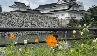 Toyama Castle (day & night)