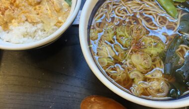 Soba & Oyakodon Set