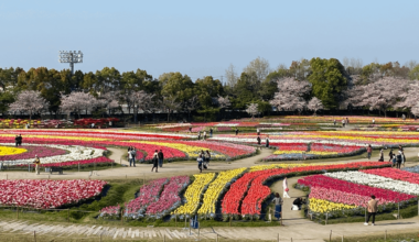 Nabana No Sato in Mie Prefecture