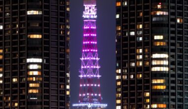 Tokyo Tower lit up in its Infinity Diamond Veil colors.