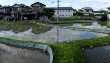 Kyoto’s Suburban Rice-fields | Kyoto Journal