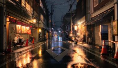 Rainy Kyoto Backstreet.