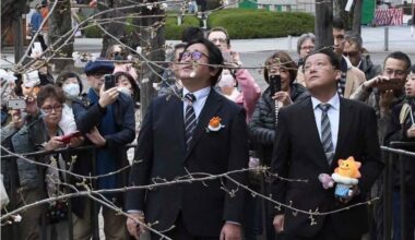 Staff from the Tokyo District Meteorological Observatory inspected the sakura tree in Yasukuni Shrine