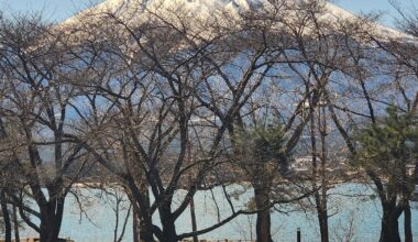 Fuji-san 02/28/24