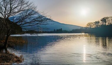 Reflecting on Resilience: The Story of Lake Tanuki