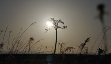 Japan marks 13 years since quake-tsunami triggered nuclear disaster