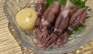 Firefly Squid