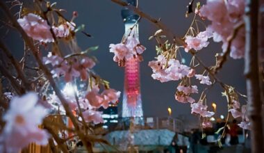 Tokyo Skytree and Sakura