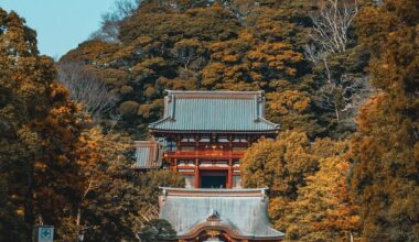 Tsurugaoka hachimangu shrine in Kamakura