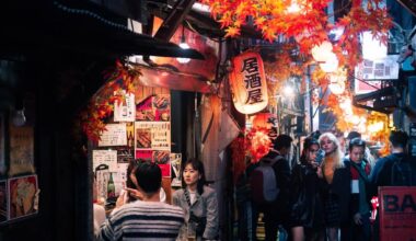 Omoide Yokocho, an Alley of Izakayas in Tokyo