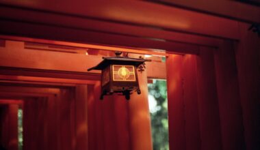 Fushimi Inari on film