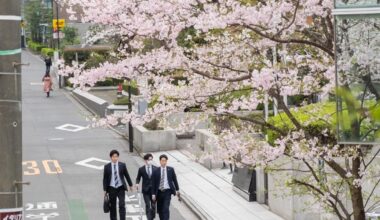 Walking to work with the boys in Tokyo (April 2024)