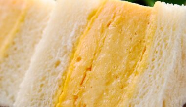 Dashimaki Tamago Sando: what did I do wrong?