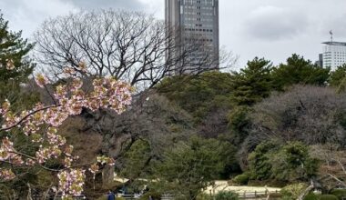 Shinjuku Gyoen never fails✨