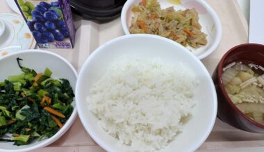 Japanese hospital meals