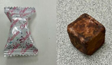 A friend brought this chocolate from his trip to Japan, and we have been searching for it like crazy in the US. I don’t have the packaging. Can you help me identify it? Thanks!