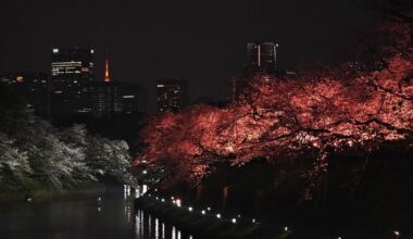 Chidorigafuchi