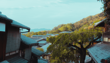 Sad news! The iconic tree in Kyoto, halfway down on the right, has fallen this morning ಥ_ಥ