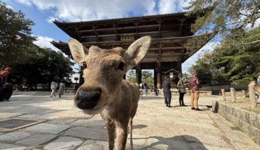 Nara, Japan