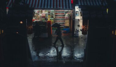 Rainy day in Ueno