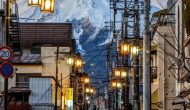 View of Fuji San from location nearby 3-chōme-12-2 Shimoyoshida [OC]