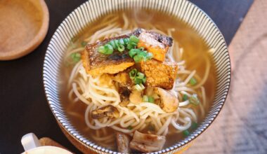 Kake Udon w/ Salmon