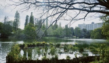 Inokashira park