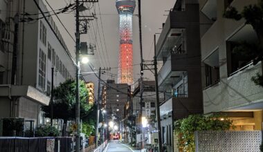 One year in Japan - The calm before another storm! (December 2022 + January 2023)