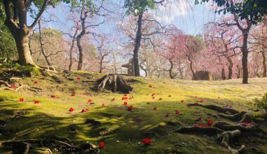 Jonangu Shrine - Takeda Kyoto