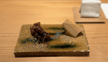 Highlights from Sushi Sakai in Fukuoka (if you ever get the chance, do it!)