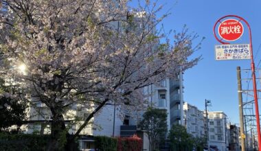 Kanagawa, Japan (Yokohama)