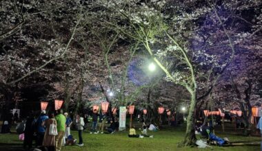 Usuki Castle Ruins Cherry Blossom Festival (Usuki, Oita)