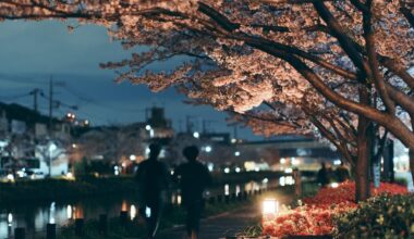 Evening stroll by the Shinkawa river