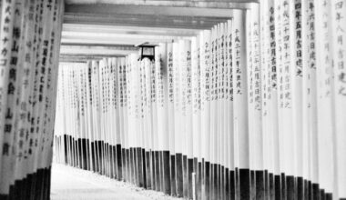 Fushimi Inari in B&W