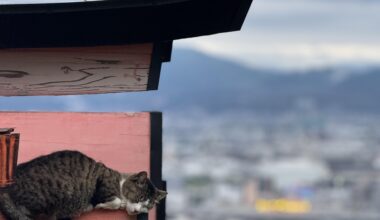 Sleeping beauty - Fushimi Inari Taisha