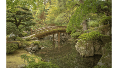 Japanese Gardens