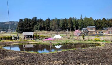 Mini Mt Fuji with heart pond @ Kuragasaki Steam Flower Field