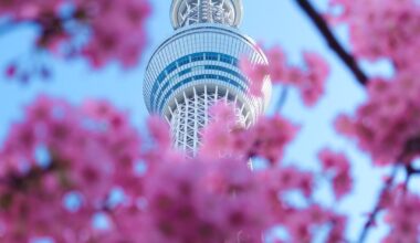 Tokyo Skytree 🌸